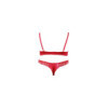 Soutien-gorge demi seins avec armatures et son string ouvert 